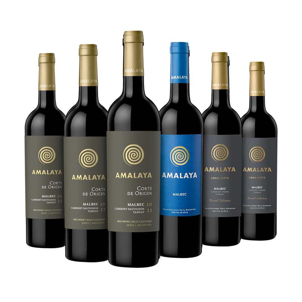 Experiencia Amalaya 6x750ml