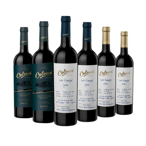 Experiencia Colomé 6x750ml