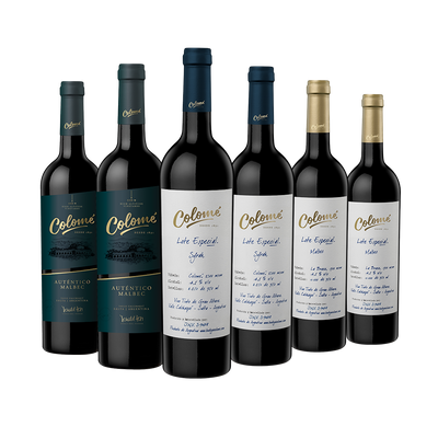 Experiencia Colomé 6x750ml