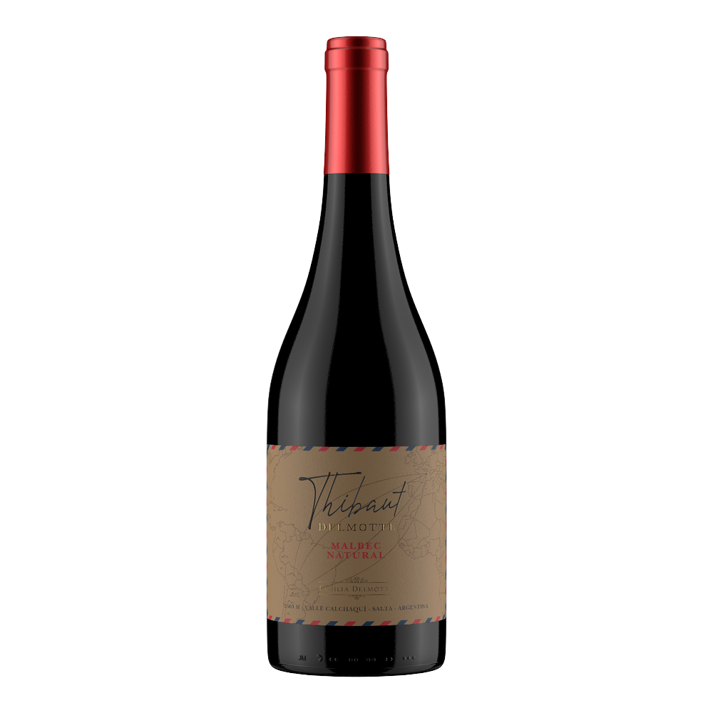 Thibaut Delmotte - Malbec Natural 2024