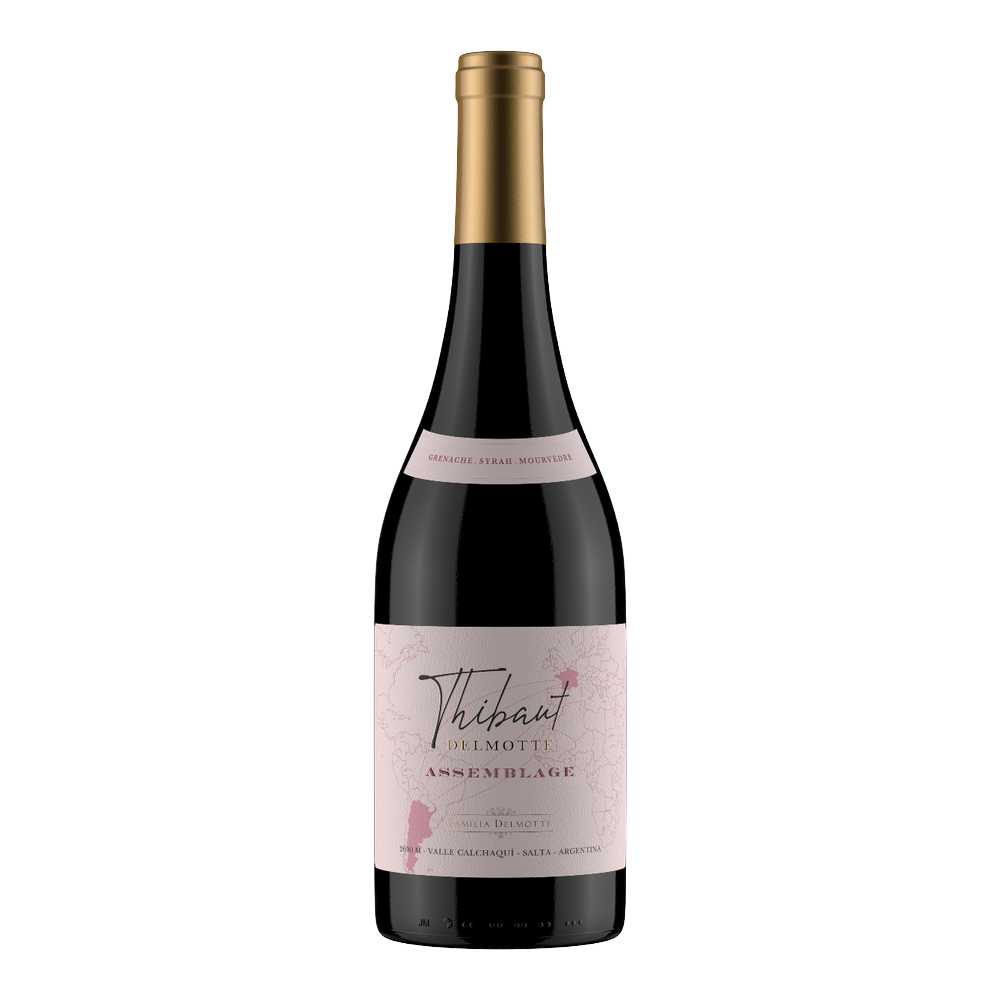 Thibaut Delmotte - Asemblage GSM 2023 6x750ml