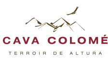 Cava Colomé